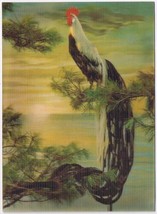 Postcard Bird 3D Lenticular A Long Tailed Cock - $8.90