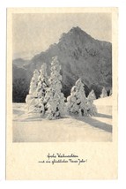 Christmas Frohe Weihnachten Snow Fir Trees Tirol Austria 1954 Postcard - $3.95