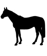 Thoroughbred Horse Equine Decal Black Silhouette Profile Sticker on a Cl... - $5.00