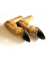 Pair of Cured Whitetail Deer Hooves. Deer Feet with Mounting Hardware. T... - $44.55