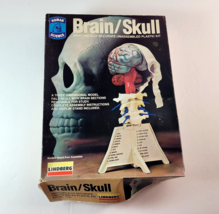 Vintage 1982 Linberg Science Kits Brain / Skull Model Kit CIB New Old Stock NOS - £23.25 GBP