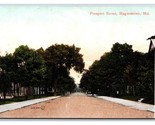 Prospect Street View Hagerstown Maryland MD UNP DB Postcard R25 - $3.91