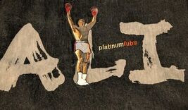 Vintage 90s Y2K Platinum Fubu Muhammad Ali Button Up Jean Denim Jacket S... - €85,24 EUR