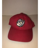 Altoona Curve Youth Ball Cap-&#39;47 Brand Minor League Baseball Genuine Mds... - $24.55 CAD