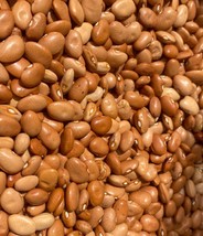 Brown speckled butter pea, Lima beans (Phaseolus lunatus), 100g seeds/8 ... - $30.00