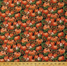 Cotton Pumpkins Patch Fields Fall Autumn Harvest Fabric Print by Yard D513.64 - £10.35 GBP