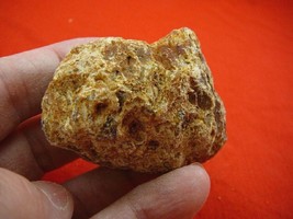 (k-3082) 50 g Rare Kauri tree Gum copal young Amber New Zealand Tane Mahuta - £51.85 GBP