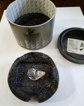 Swarovski Crystal Conch Shell 7624 NR 000 002 in Original Silver Crystal... - $23.75