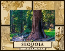 Sequoia National Park Laser Engraved Wood Picture Frame Landscape (8 x 10)  - £41.99 GBP