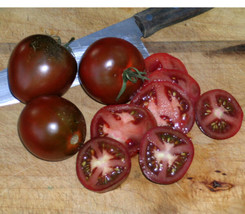 50 Black Prince Tomato Seeds Heirloom Fresh Harvest  - £8.77 GBP