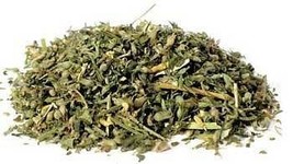 Catnip cut 1oz (Nepeta cataria)  - $244.81 MXN