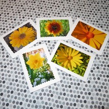 GET WELL SOON yellow Flower Photo Cards, 5X7 cards, Floral, set of 5 - £10.81 GBP