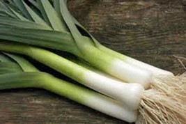 Leek Seeds, American Flag, 25+ Seeds, Heirloom, Non Gmo, Organic, Great For Soup - £1.54 GBP