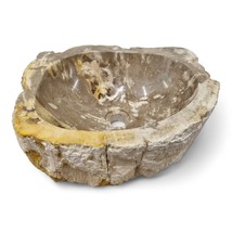 Sink Petrified Wood Natural Stone Countertop Basin Bathroom Brown - $672.74