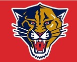 Florida Panthers Team Sport Flag 3X5Ft Polyester Digital Print Banner USA - £12.76 GBP