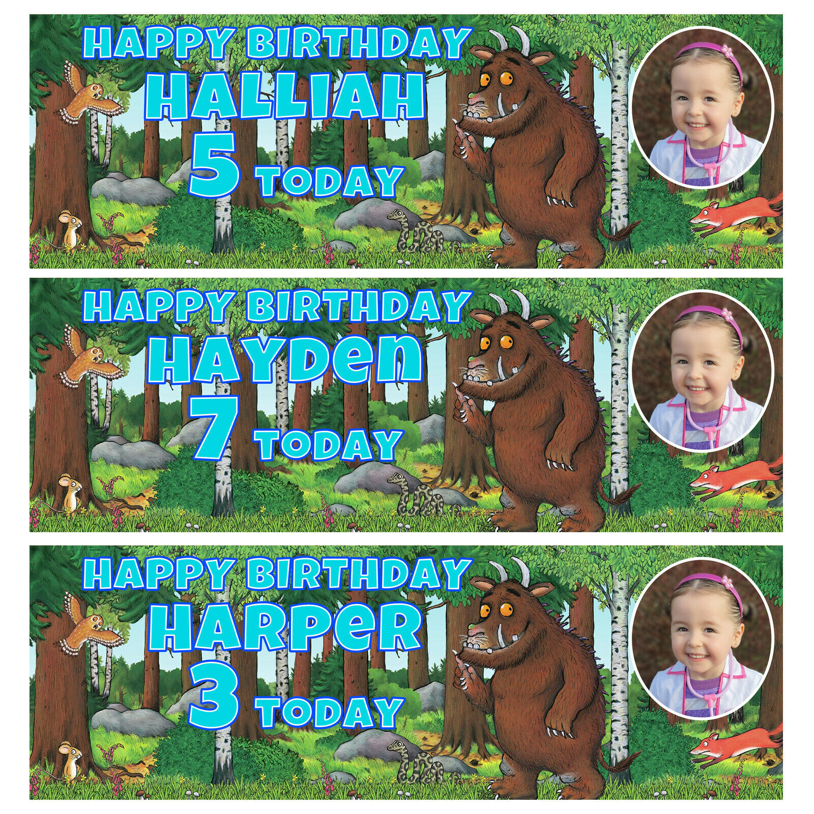 GRUFFALO PHOTO Personalised Birthday Banner - Gruffalo Birthday Party Ba... - $4.86