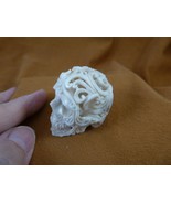 (SKULL-W55) Medium white full skeleton Skull figurine Bali antler crafte... - $181.95 CAD