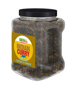 Indian Curry Flavored Cricket Snack - Pound Size - £31.60 GBP