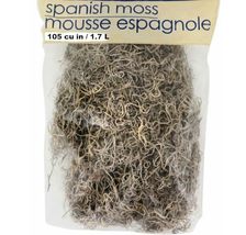 Cemetery Props-Natural SPANISH MOSS-Halloween Party Tombstone Zombie Dec... - $93.67 MXN