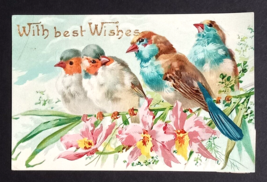With Best Wishes Four Blue Birds on Branch w/ Flowers Gel Coated Postcard c1900s - £7.90 GBP
