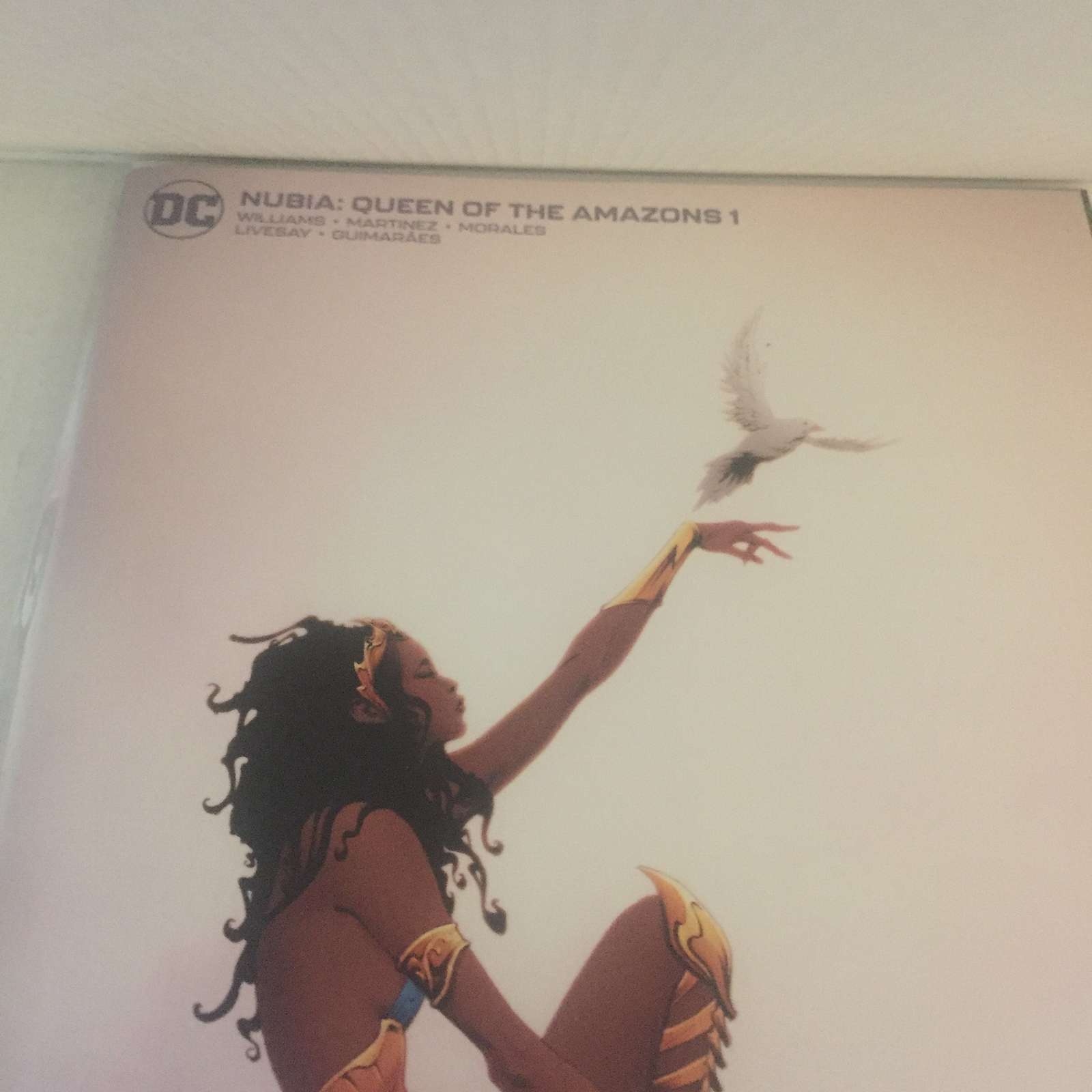 2022 DC Comics Nubia: Queen of The Amazons & Justice League Special Variants #1 Item image 3