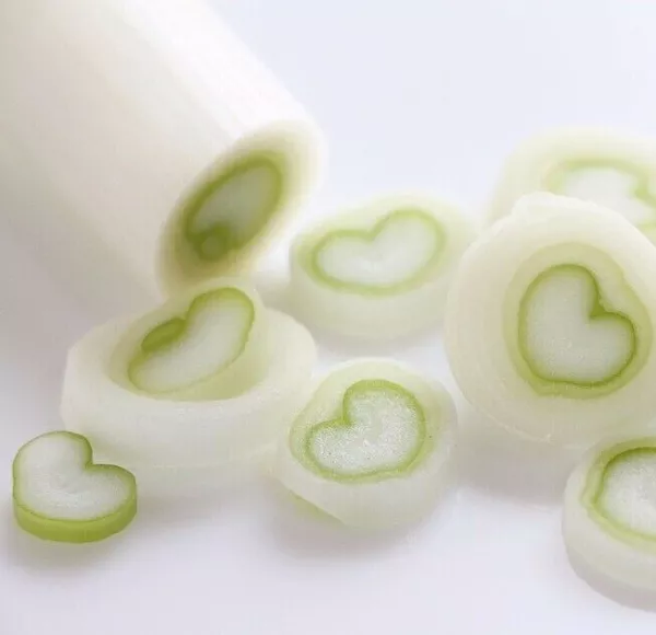 Fresh Green Onion Organic White Long Tokyo Seeds Packet 1 Gram Bunching - £8.23 GBP