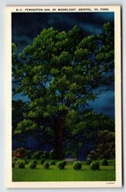 Pemberton Oak Tree By Moonlight Bristol Virginia Tennessee Linen Postcard Unused - £4.94 GBP