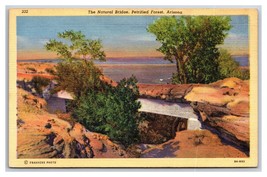 Natural Bridge Petrified Forest National Monument Arizona UNP Linen Postcard Y13 - £2.33 GBP