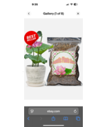 Aquatic Soil for Plants 2.2LBS Clay Aquarium Soil for Ponds Lotus Water ... - $14.81 CAD