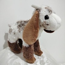 Douglas Bodhi The Goat Softplush Goat Stuffed Animal White &amp; Brown 8&quot; - £17.06 GBP