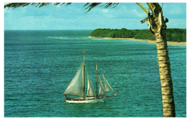 Sail Boat on the Coast Pam Trees Maui Pan American Airways Postcard - $6.88
