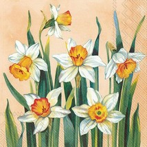 3-Ply Cocktail Beverage Paper Napkins, 5&quot; White Narcissus Apricot New - $187.50 MXN