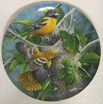 The Baltimore Oriole Collector Plate Kevin Daniel Knowle #13406C 1985 8 to 9 In - £18.77 GBP