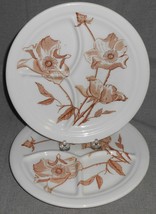 1949 Set (2) Iroquois RESTAURANT CHINA Tri Divided BROWN FLORALS Grill P... - $928.97 MXN