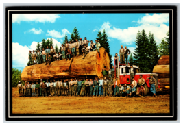 Giant Fir Log from Western Washington on Logging Truck Postcard Unposted - $4.89