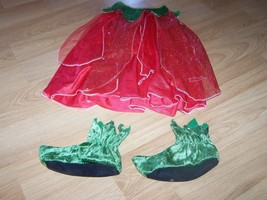 Infant Size 12-18 Months Strawberry Fairy Halloween Costume Dress &amp; Shoes EUC - £22.73 GBP