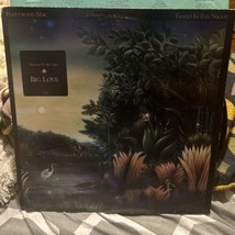 FLEETWOOD MAC TANGO IN THE NIGHT VINYL 1987 LP RECORD BIG LOVE  Promo - £29.30 GBP
