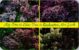 1950s “May Time is Lilac Time in Rochester, New York”, Highland Park, Festival - £3.36 GBP