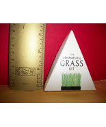 Home Gift Ornamental Grass Kit Indoor Garden Supplies Set Craft Instruct... - £4.49 GBP