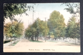 Waldron Avenue Memphis Tennessee TN Postcard c1910 Street View - £16.17 GBP