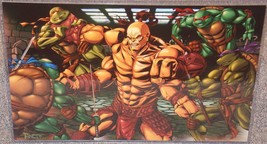 TMNT vs Mortal Kombat Goro Glossy Print 11 x 17 In Hard Plastic Sleeve - £19.97 GBP