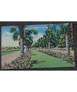 Vintage Color Tone Lithograph Postcard, Victory Drive, Savannah, Georgia - €3,11 EUR