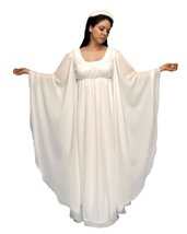 Deluxe Angel Goddess Fairy Costume- Theatrical Quality (Large) - £161.15 GBP