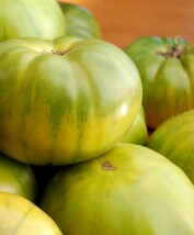 Aunt Rubys German Green Tomato Seeds 30 Seeds Fresh Fast Shipping - $3.98
