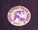 Uw dogs wear purple pin  1  thumb155 crop