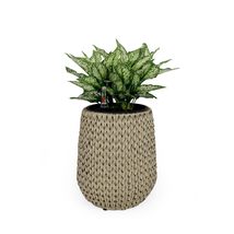 Catleza 13.4&quot; Self-Watering Wicker Planter - Garden Decoration Pot - Bei... - £31.61 GBP