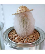 Dollhouse Straw Hat 1/12 Scale Hand Woven - $4.46 CAD