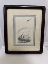Franklin Picture Co. Siberian CRANE In A Wooden Frame By Charles Robert Bree - £26.31 GBP