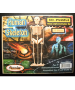 Puzzled Human Skeleton 3D Puzzle Wood Craft Construction Kit Sealed Age ... - £6.25 GBP