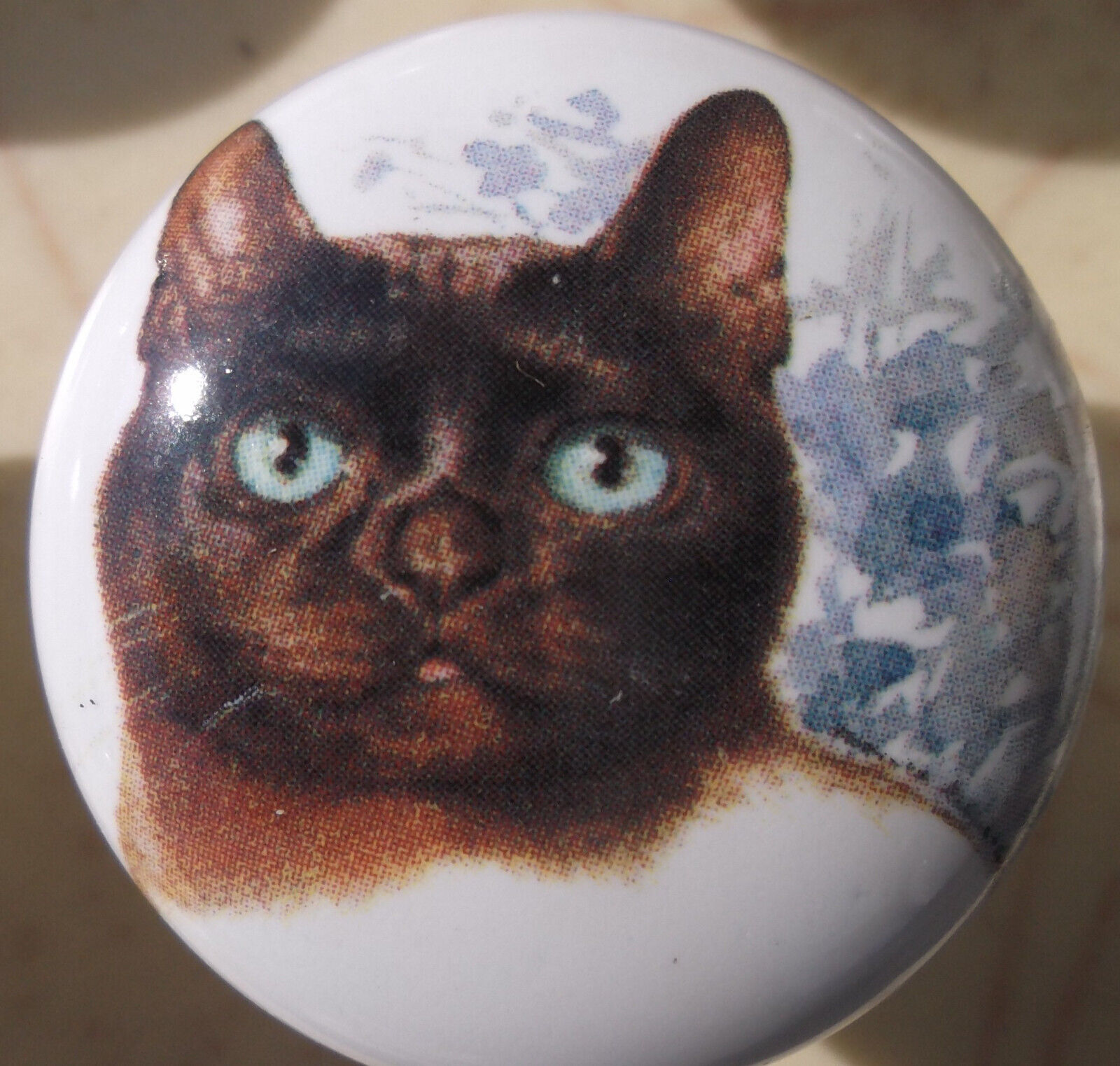 Cabinet Knobs Monica Heller Cole Absynian cat - $5.20